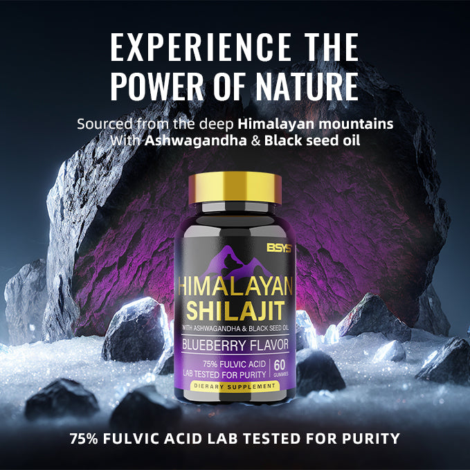 SHILAJIT GUMMIES 60'S